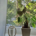 Apartament Opera * Sopot