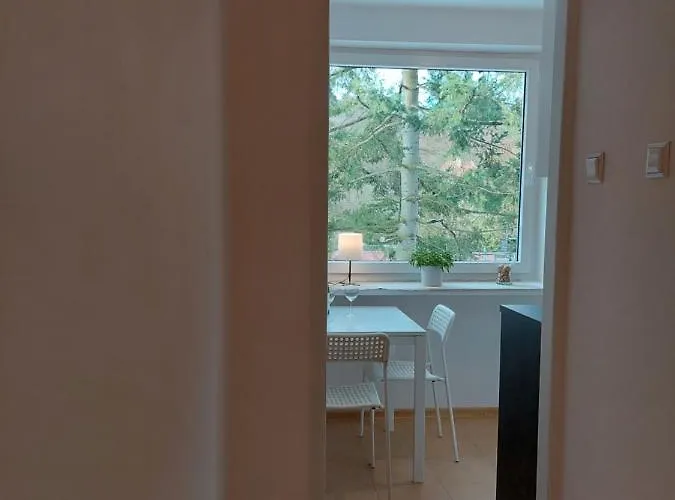 公寓 Opera 索波特