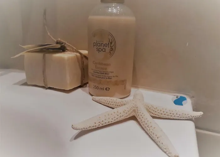 Opera 公寓 索波特